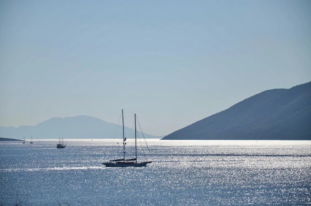 Image uploaded by Artem