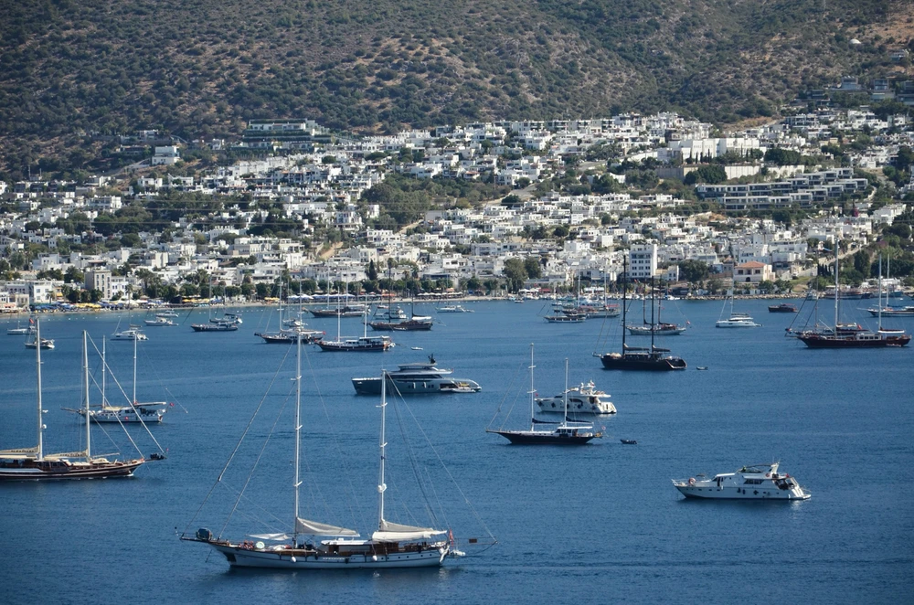 Image uploaded by Artem