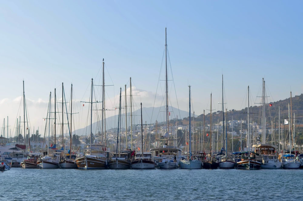 Image uploaded by Artem