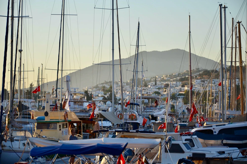 Image uploaded by Artem