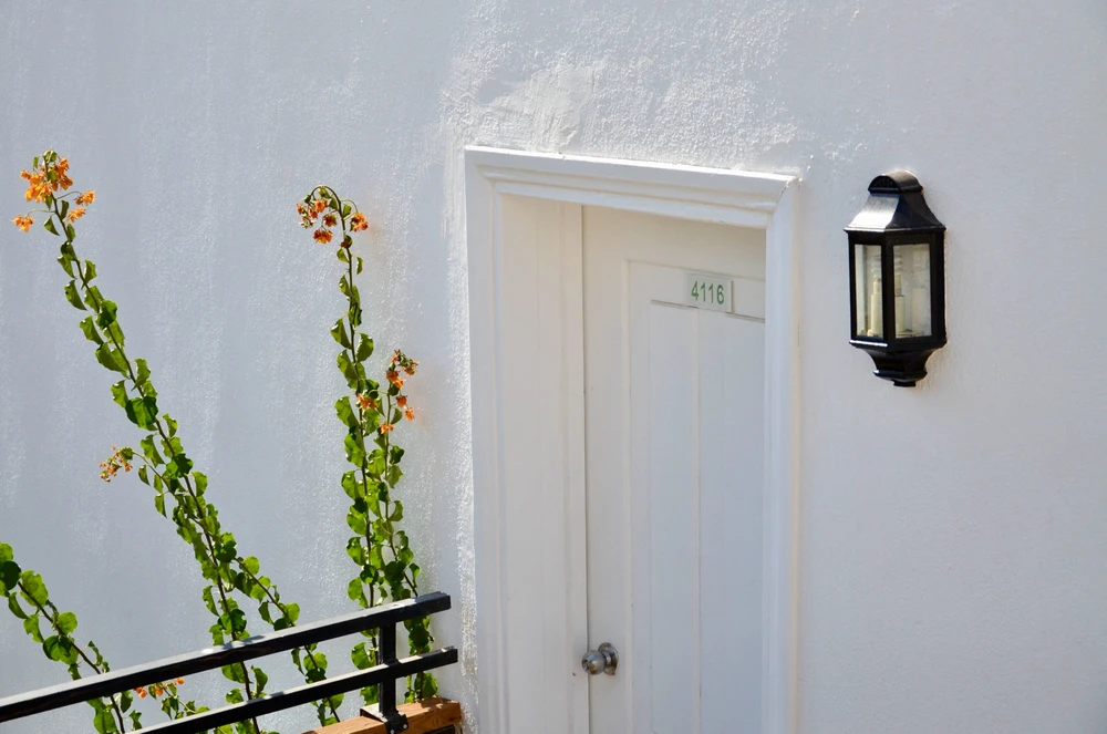 Image uploaded by Artem