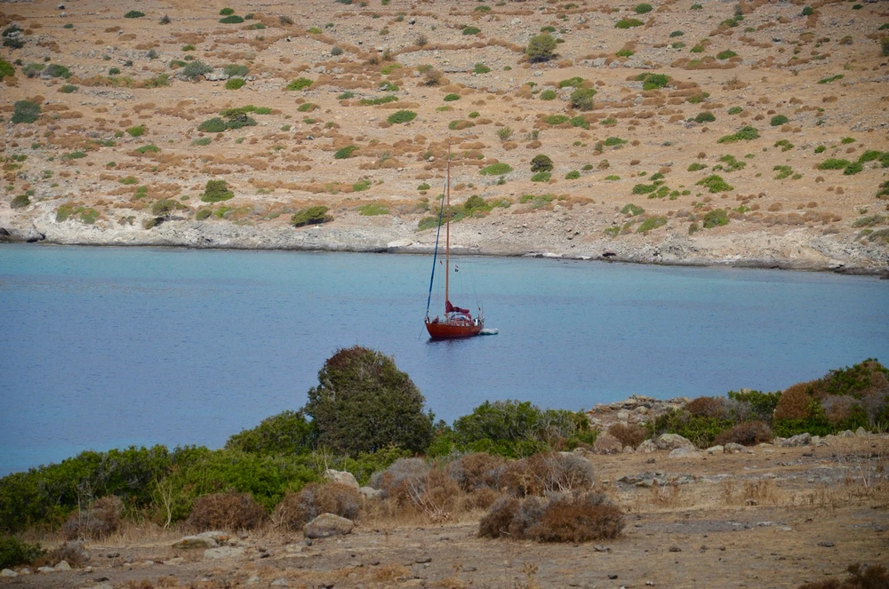 Image uploaded by Artem