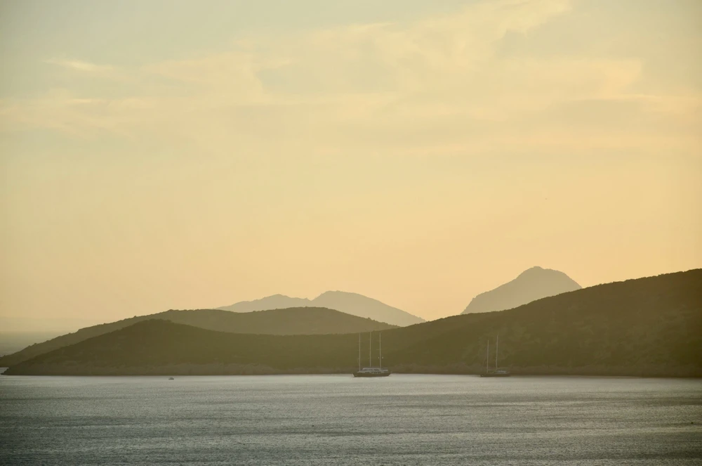 Image uploaded by Artem