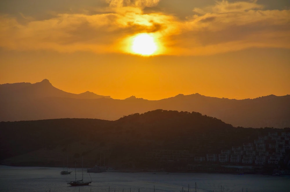 Image uploaded by Artem