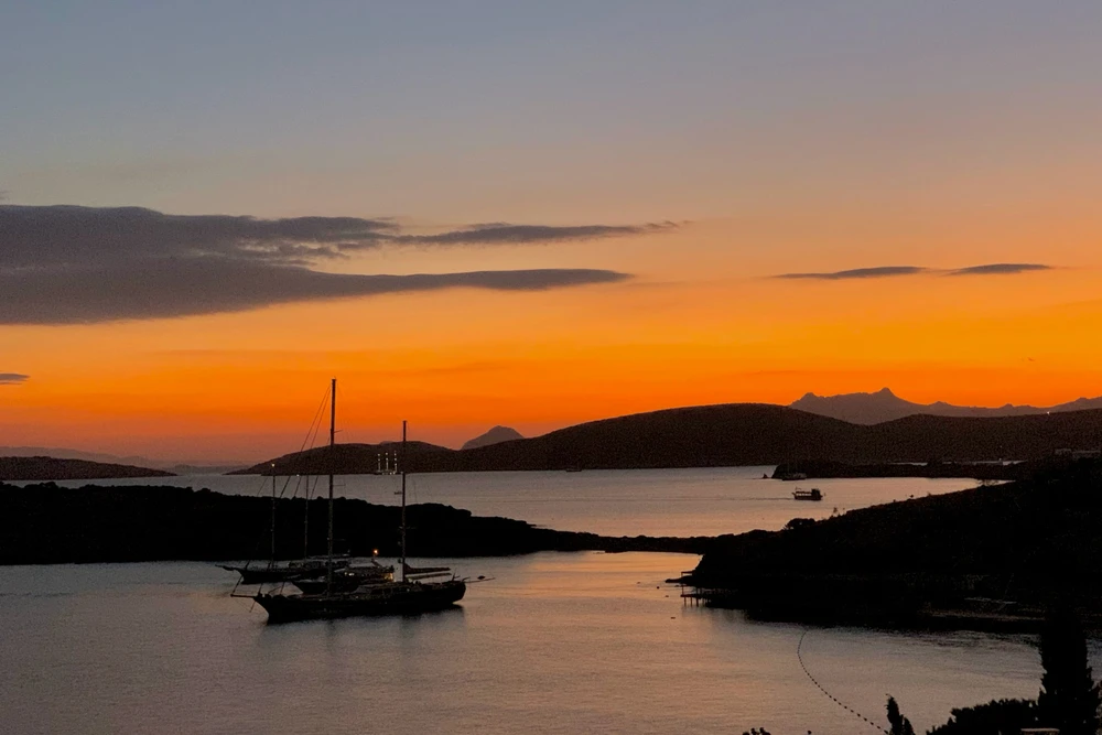 Image uploaded by Artem