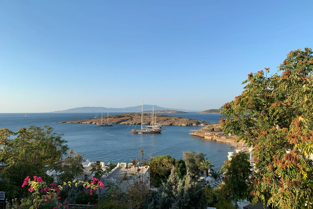 Image uploaded by Artem