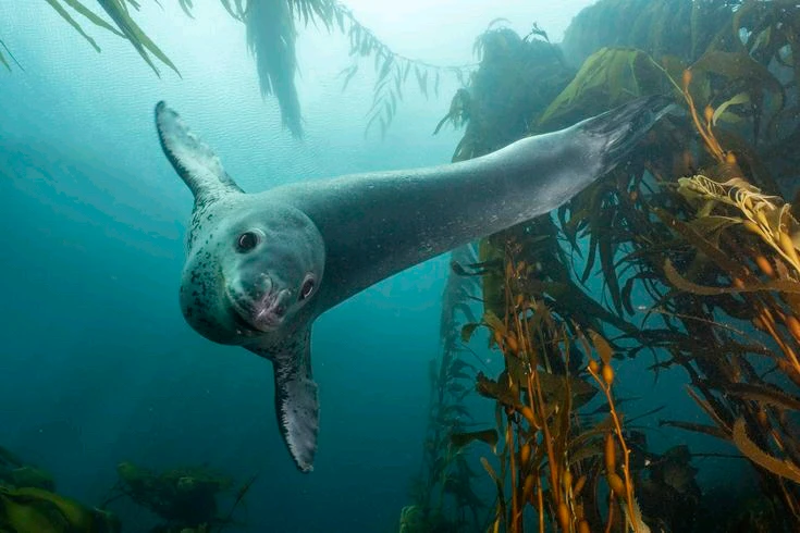 GIF uploaded by Roman