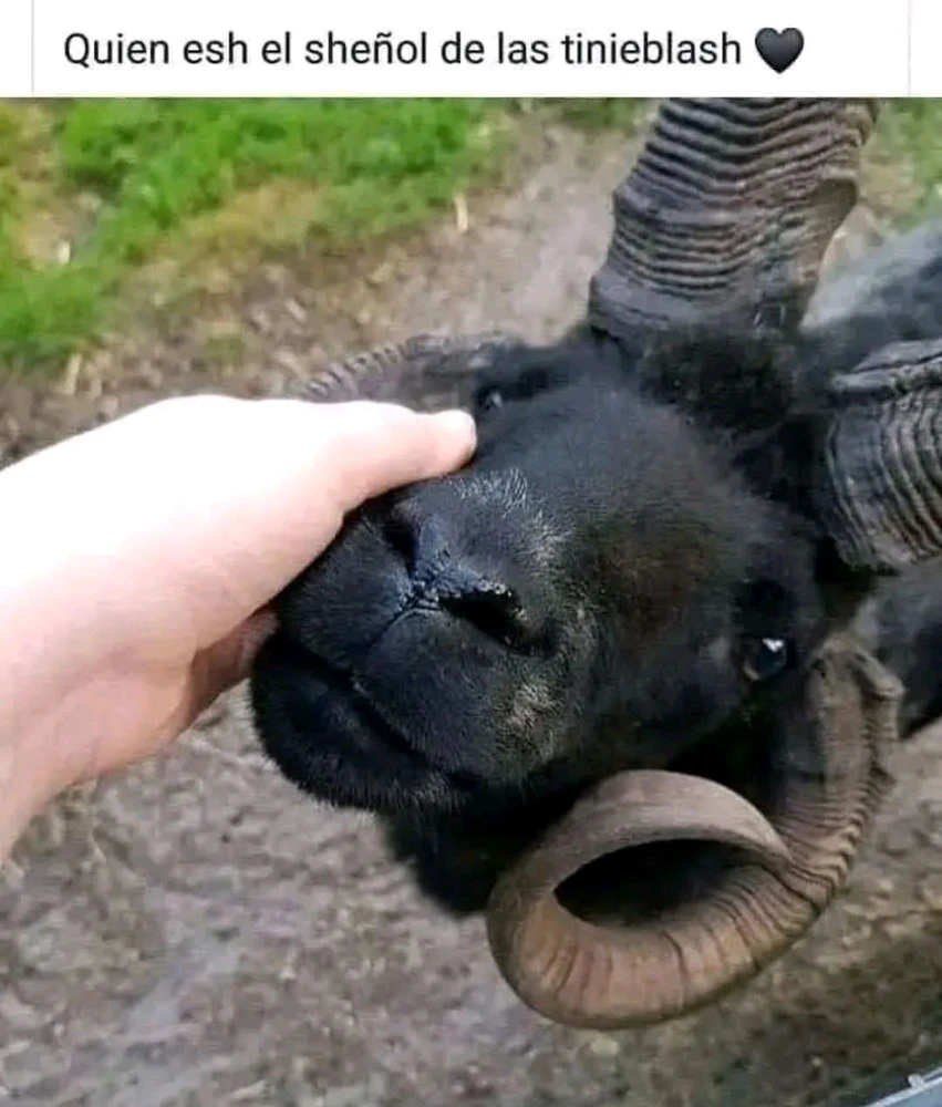 GIF subido por Francs