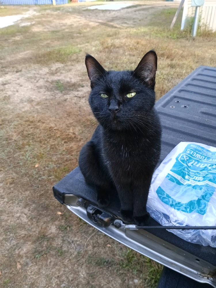 GIF uploaded by Mike