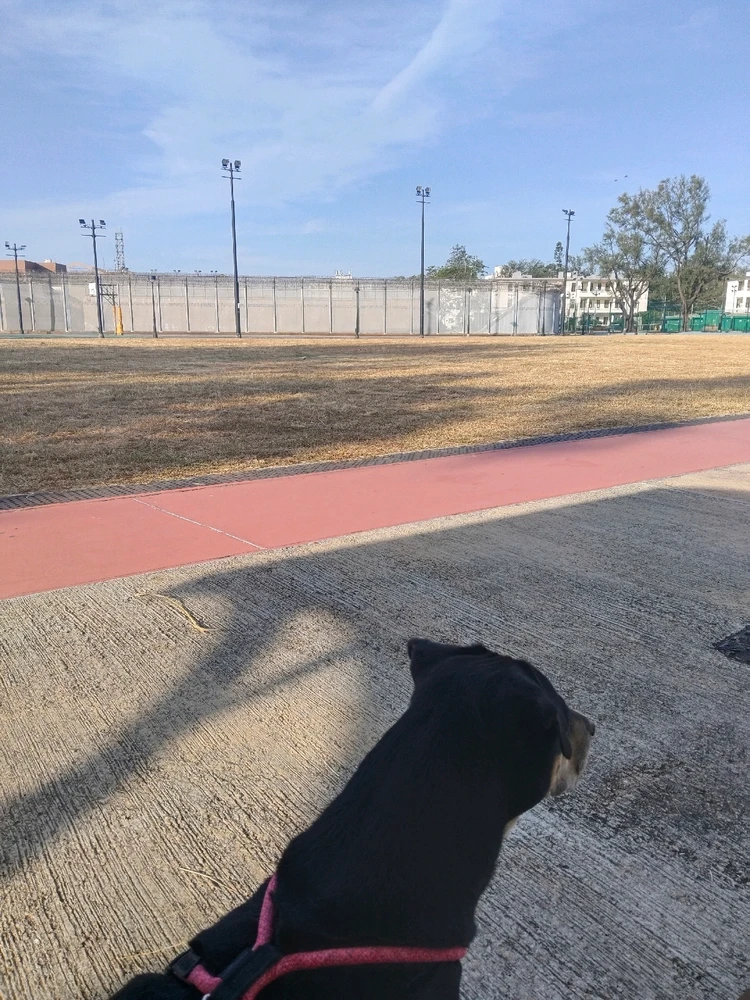 GIF uploaded by Irene