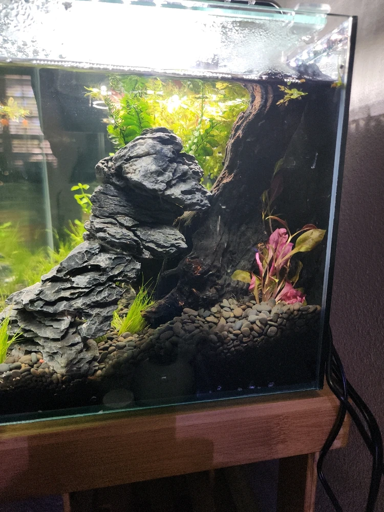 Image uploaded by Kyle