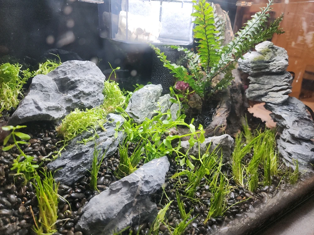 Image uploaded by Kyle