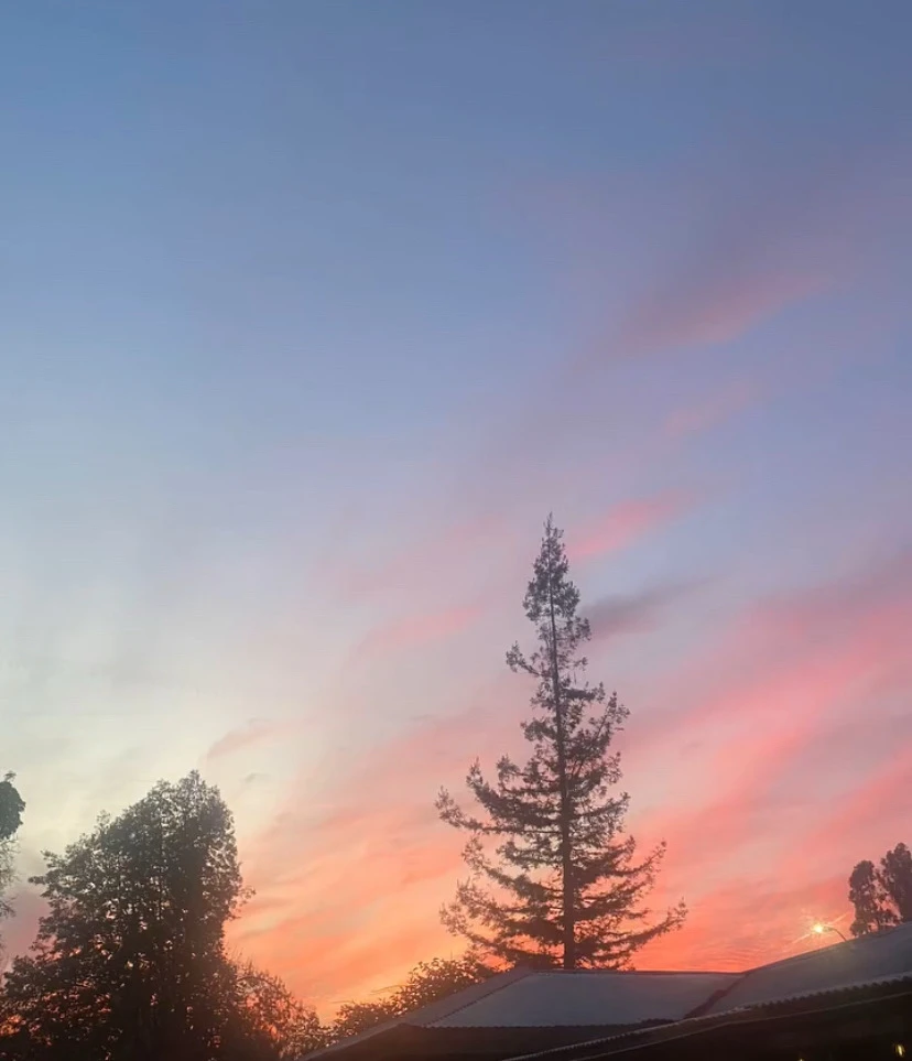 GIF uploaded by Marti