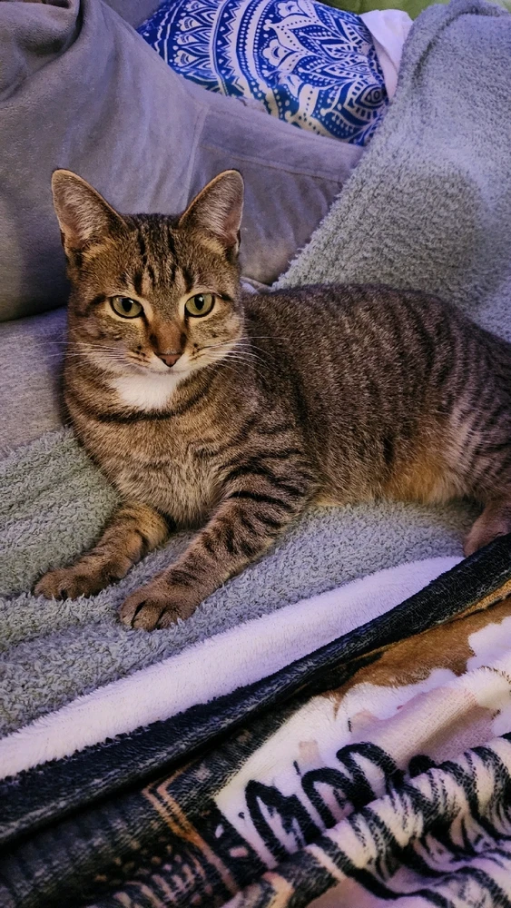 Image uploaded by Sam