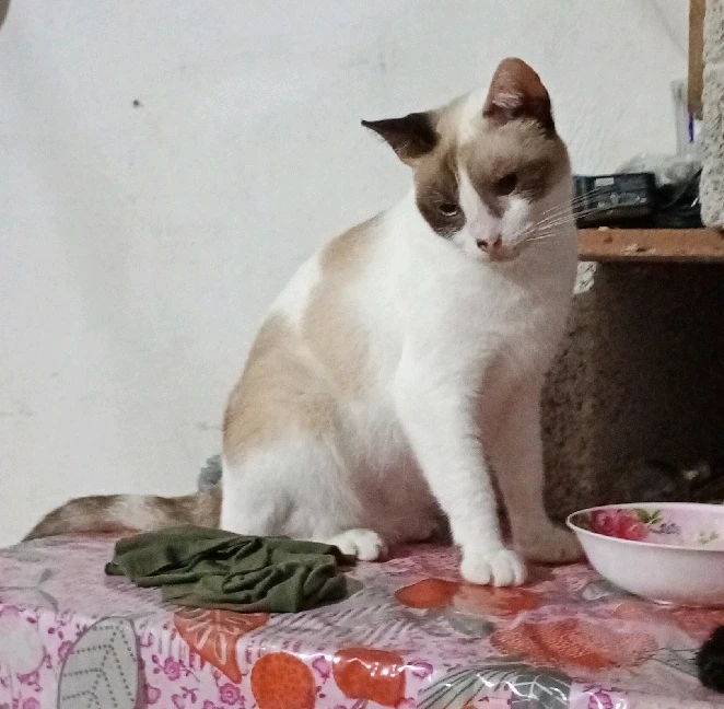 Imagen subida por Belen Between Better