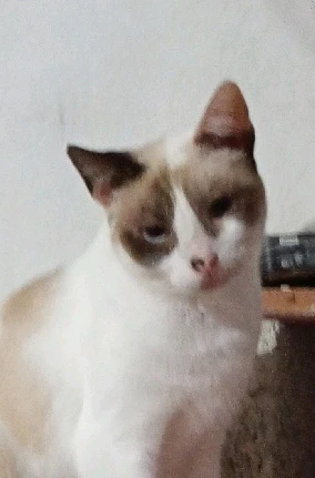 Imagen subida por Belen Between Better