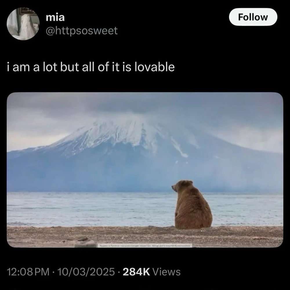 Image uploaded by Vivi