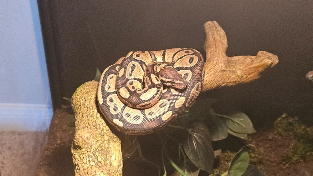 GIF uploaded by Derrick