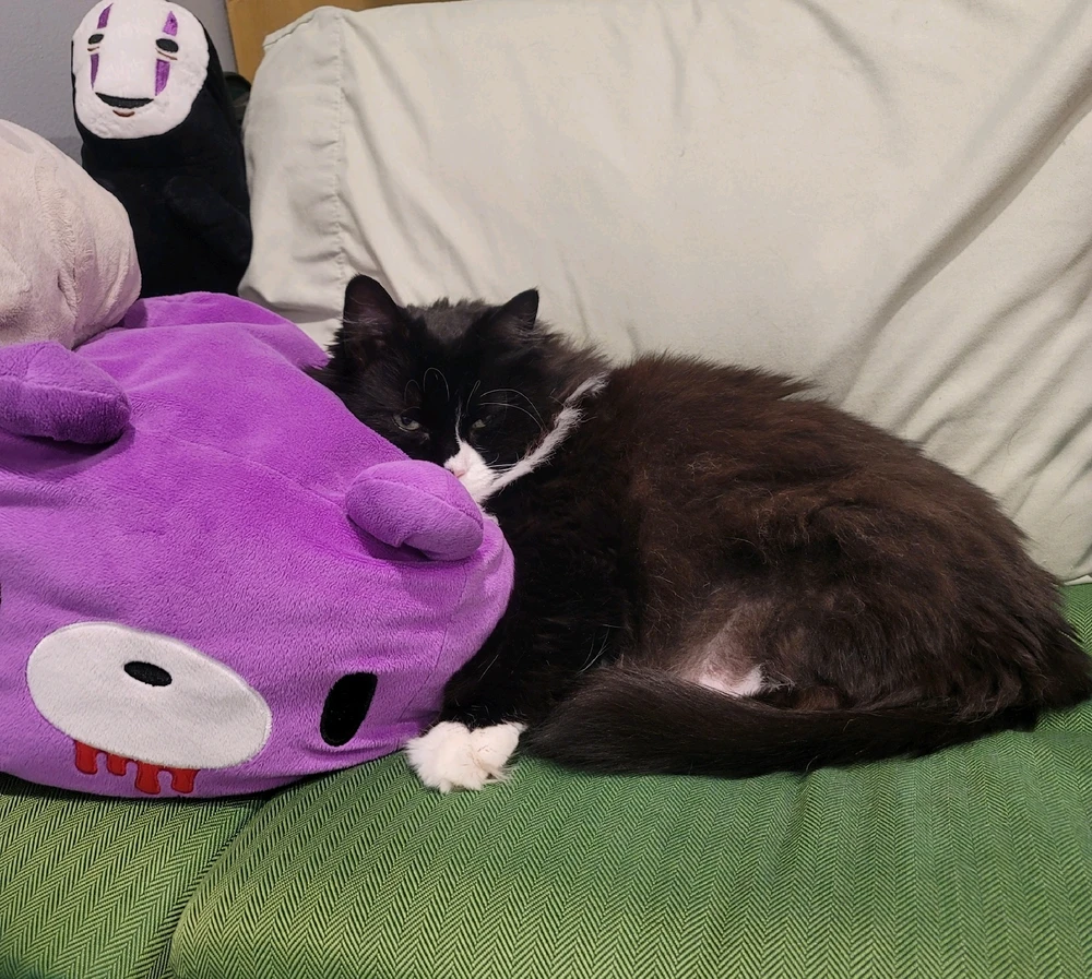 Image uploaded by Shan