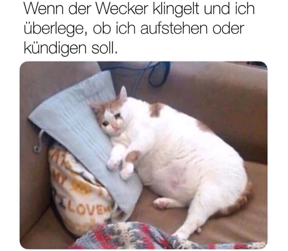 GIF hochgeladen von Vik