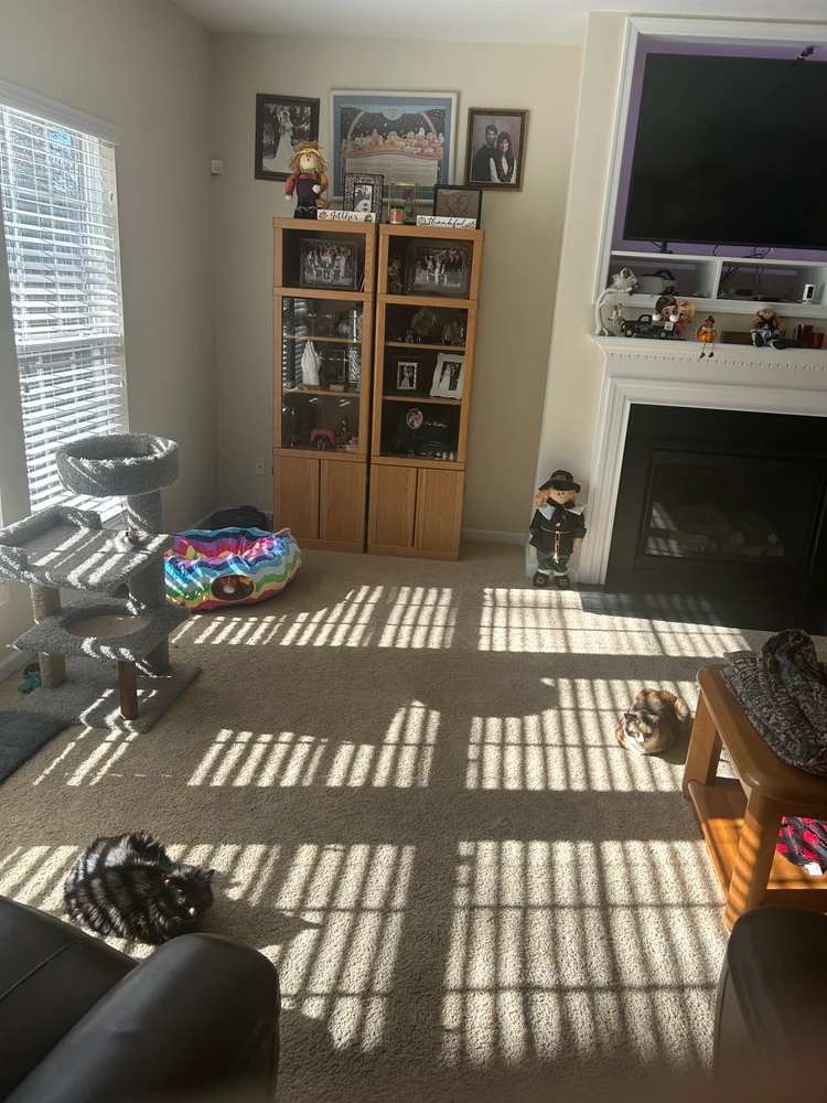 GIF uploaded by Jake