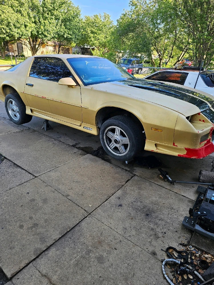 Image uploaded by Josh