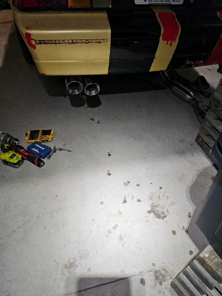 Image uploaded by Josh