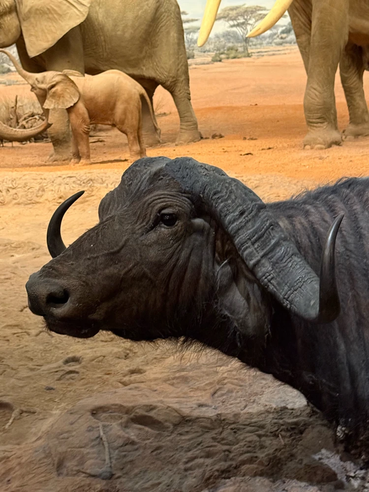 Image uploaded by Gabriel