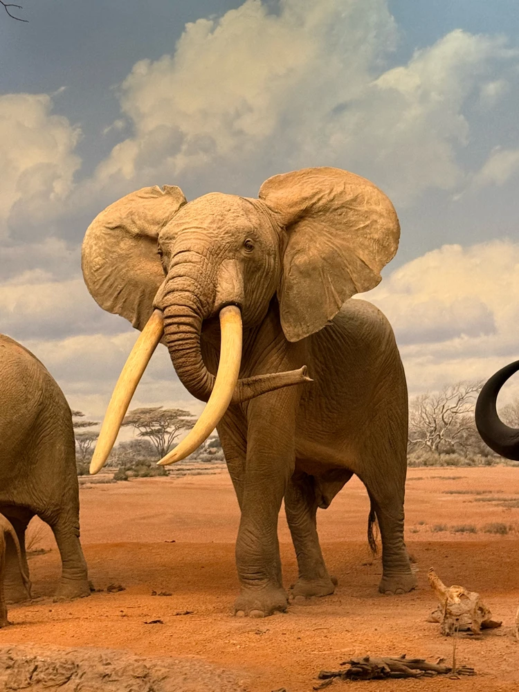 Image uploaded by Gabriel