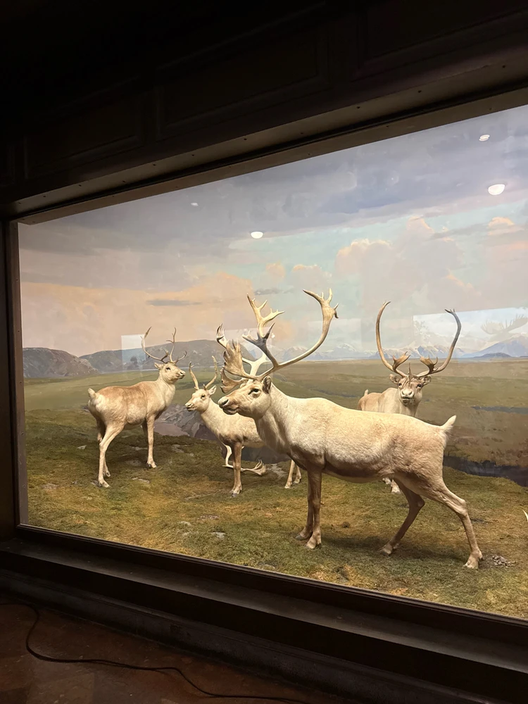 Image uploaded by Gabriel