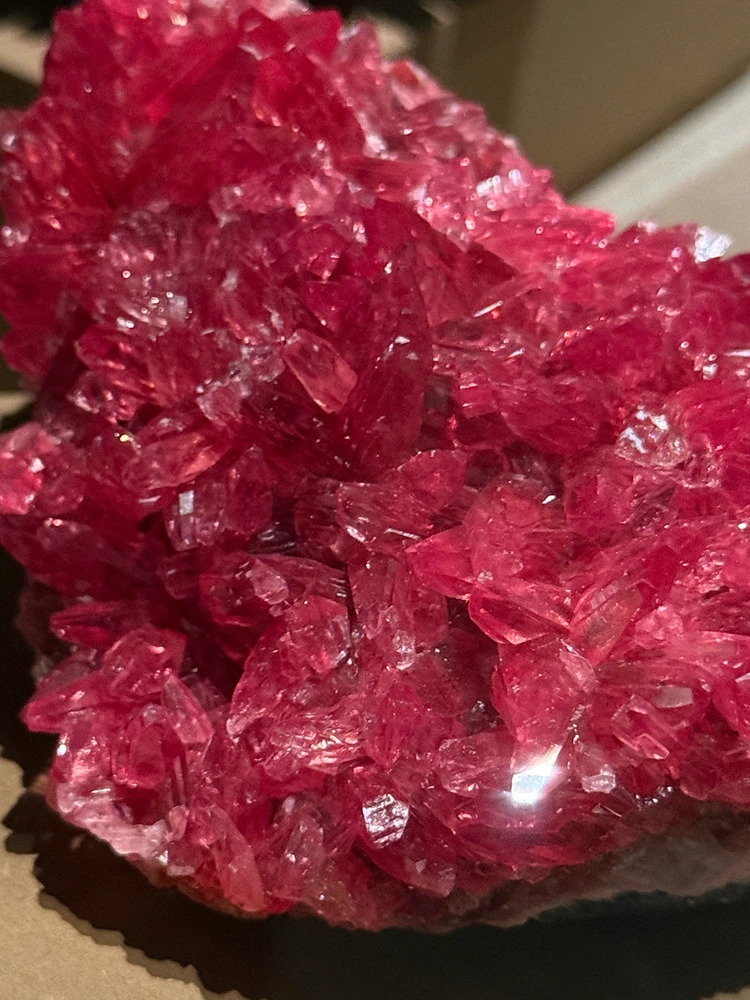 Image uploaded by Gabriel