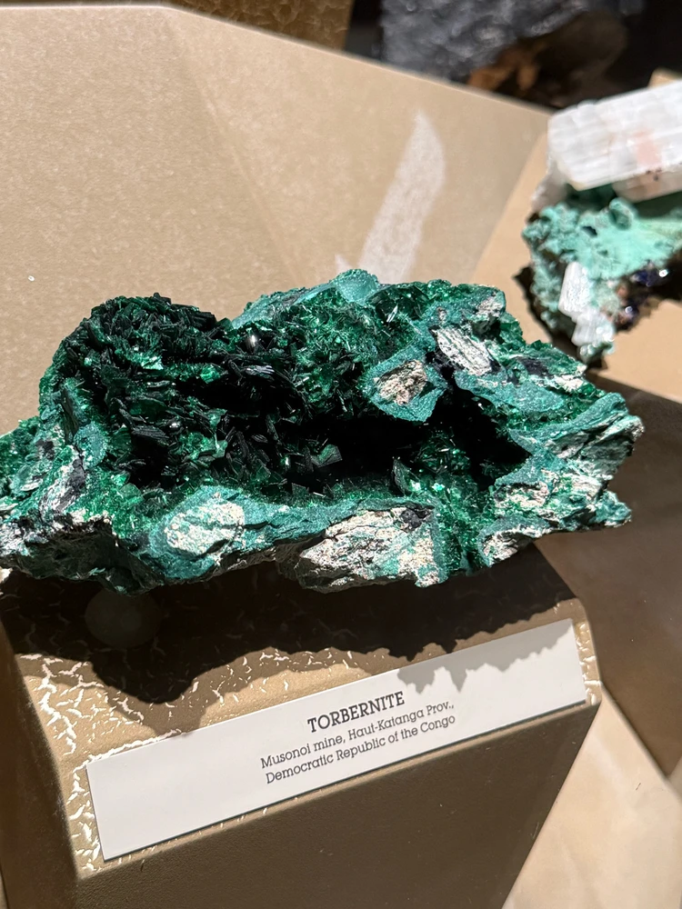 Image uploaded by Gabriel