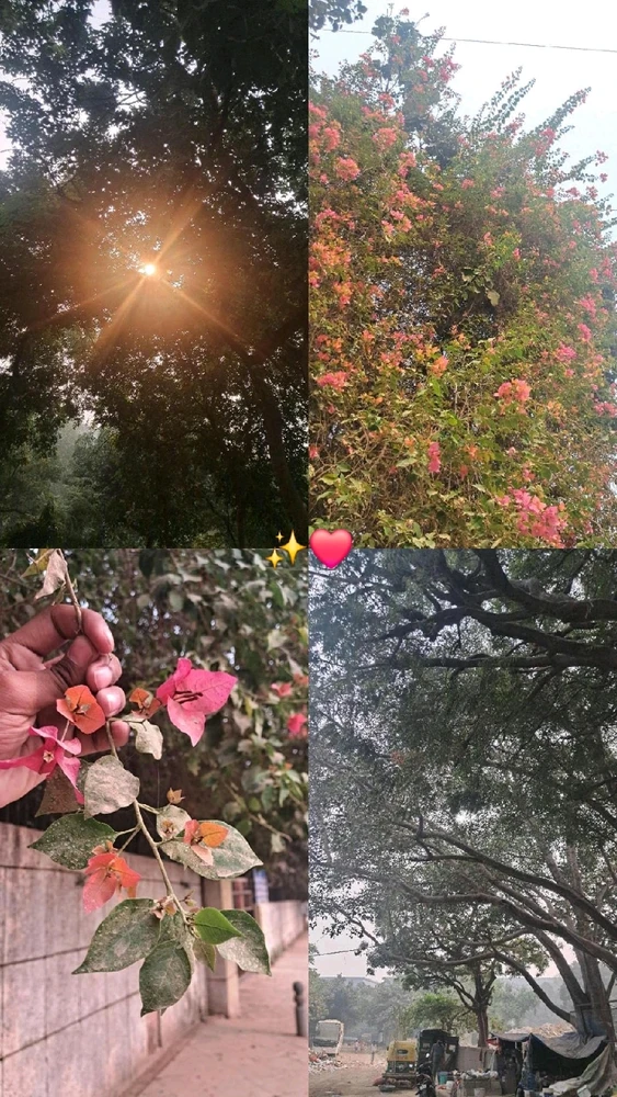 GIF uploaded by Naman Agrawal