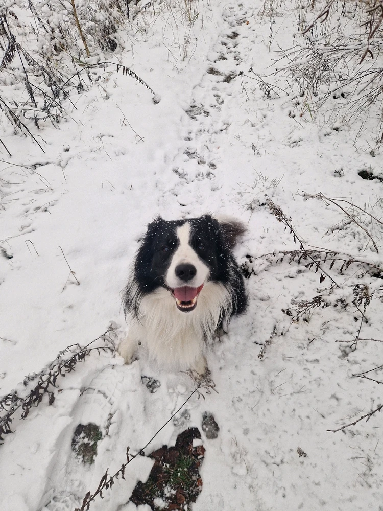 GIF dodany przez Paweł