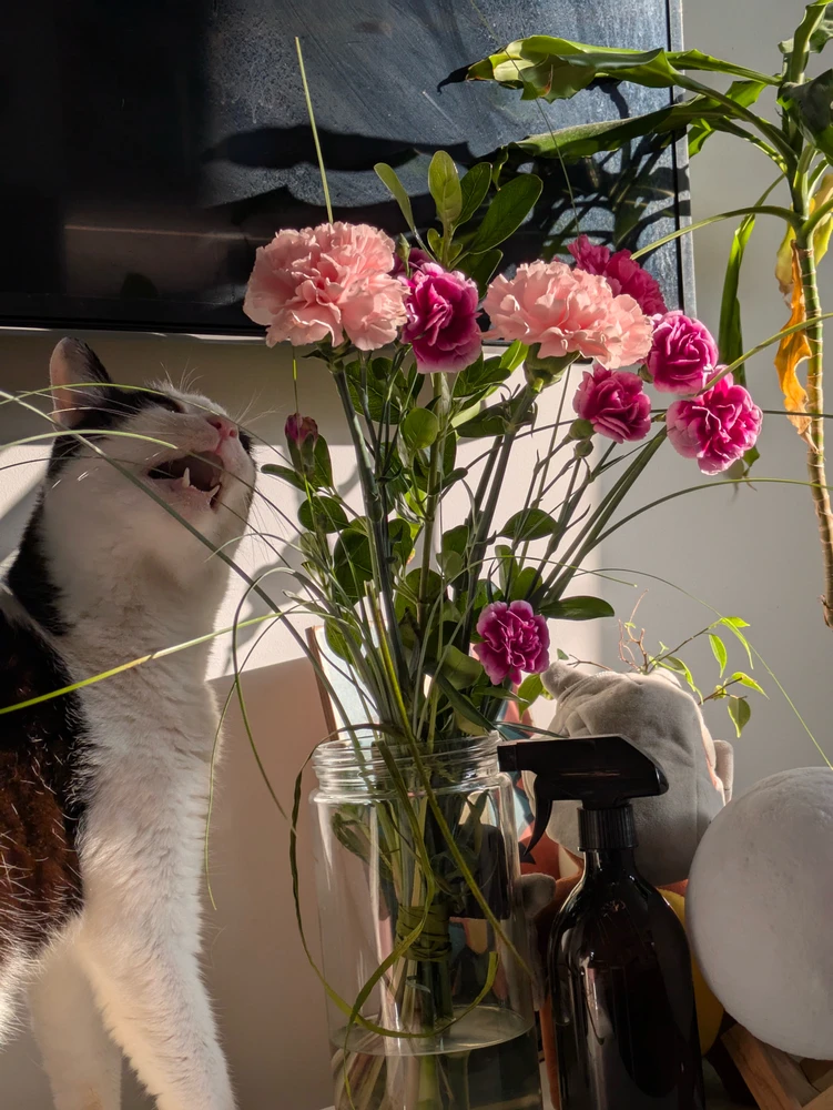 Image uploaded by Celina