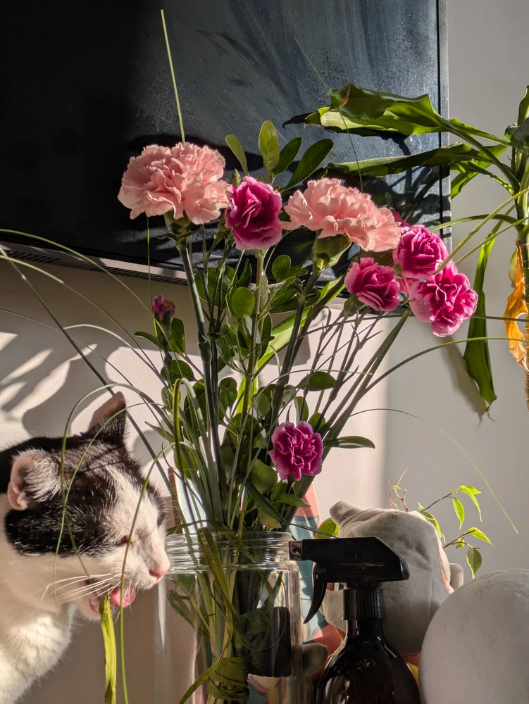 Image uploaded by Celina