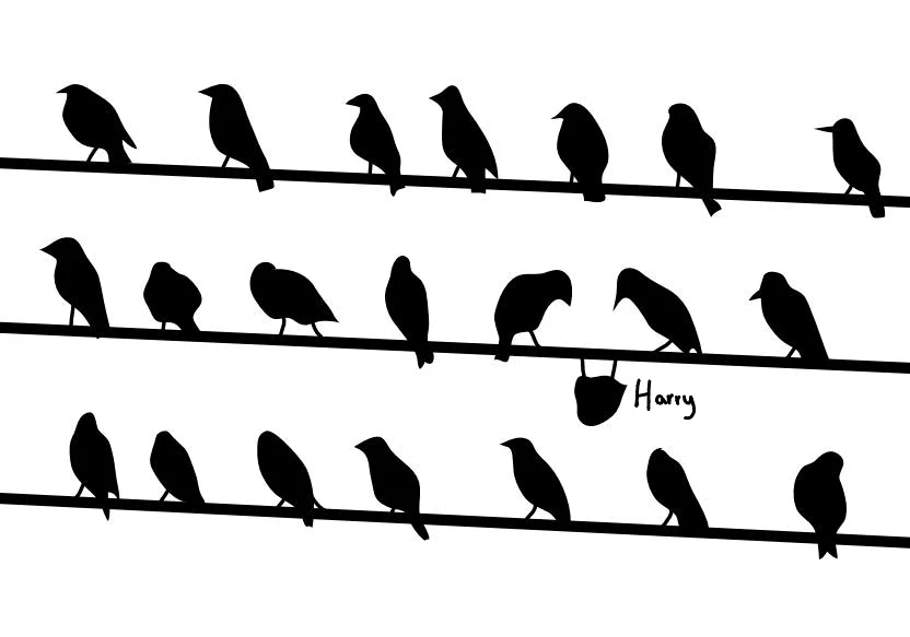 GIF geüpload door Lieke