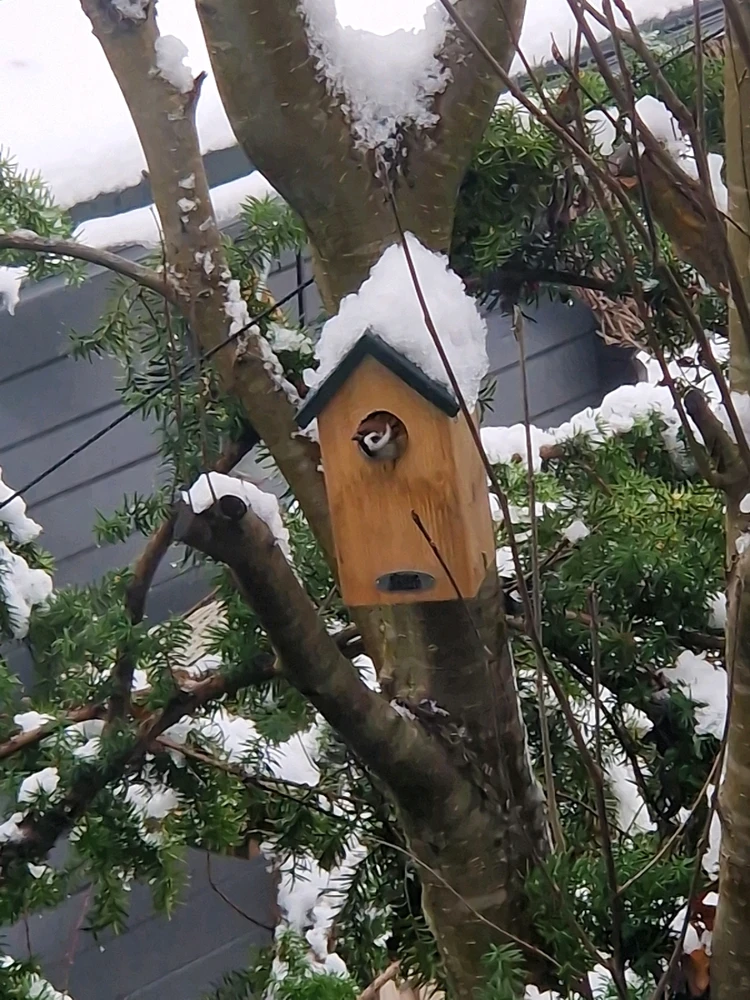 GIF dodany przez Paweł