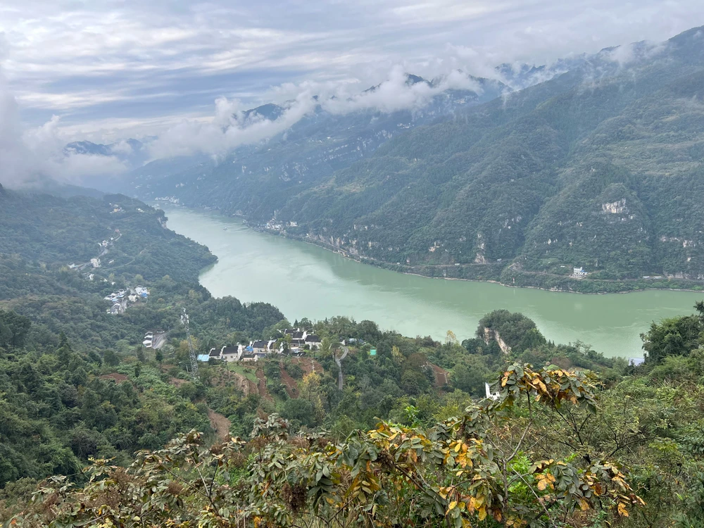 Gambar diunggah oleh bob