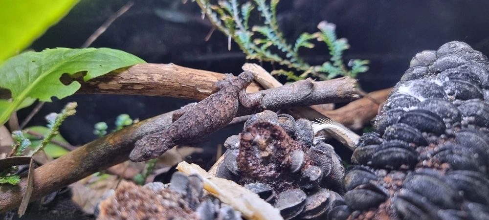 GIF uploaded by J-Klamp😜🐒