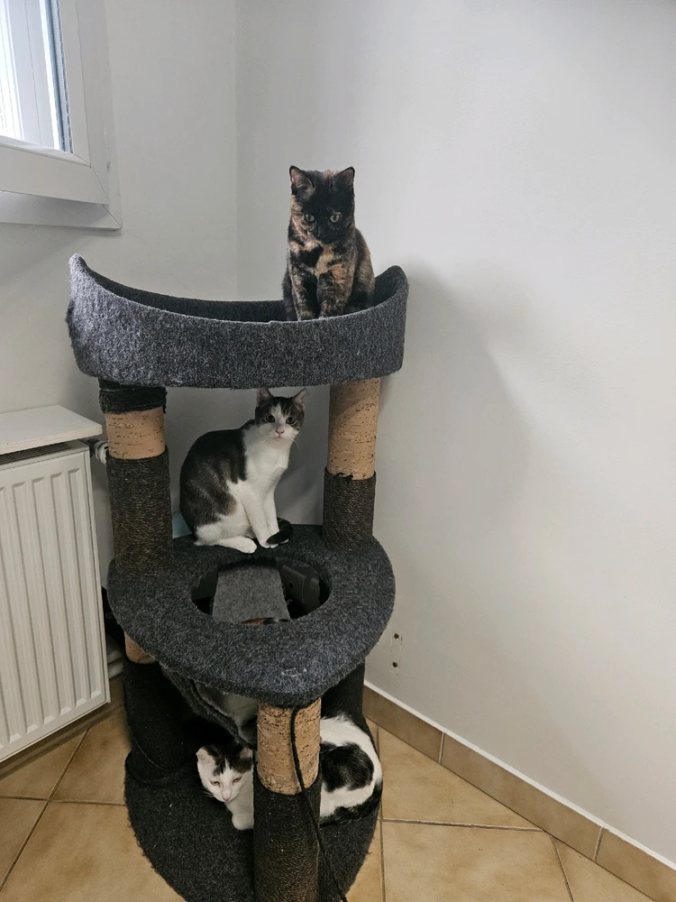 Image ajoutée par Geoffrey