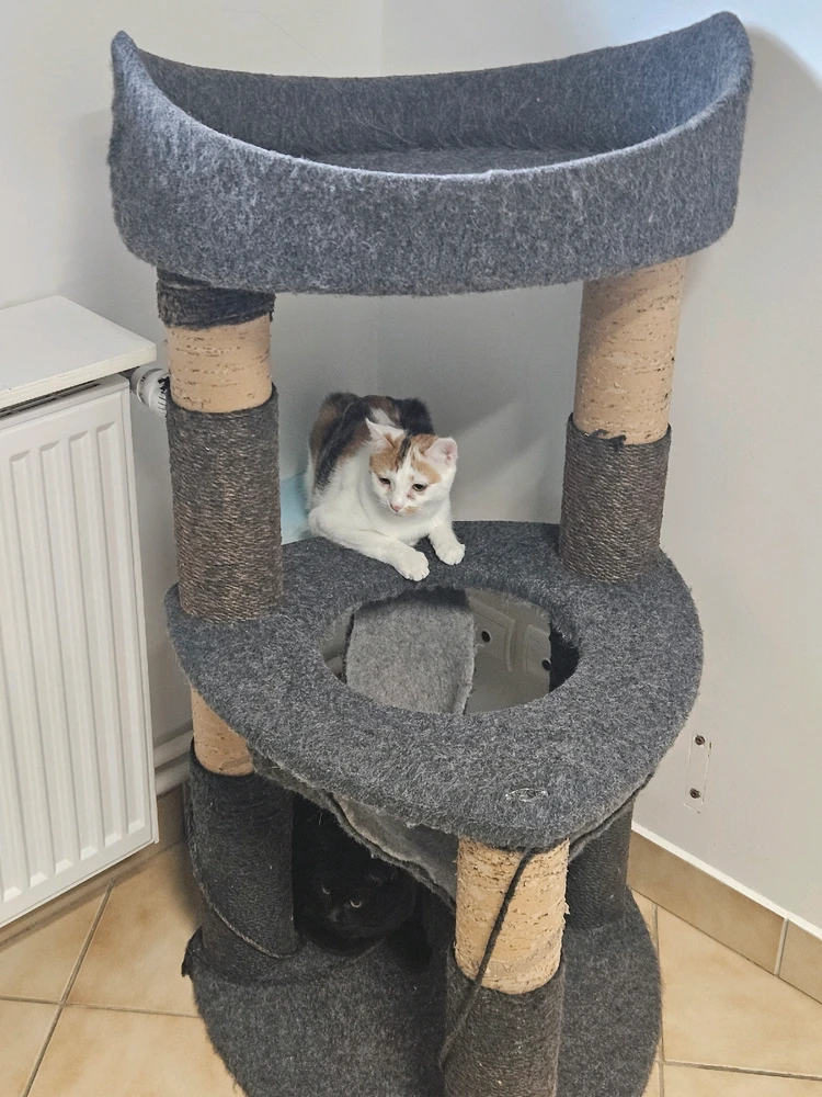 Image ajoutée par Geoffrey