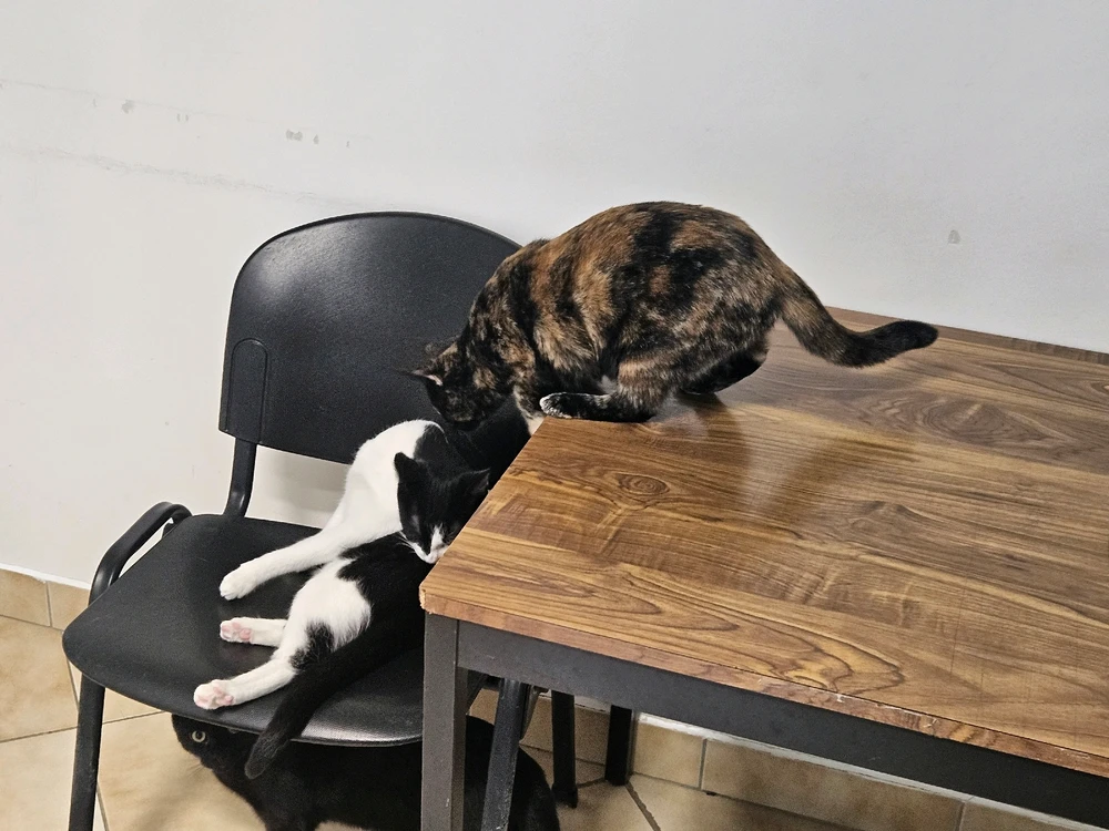 Image ajoutée par Geoffrey