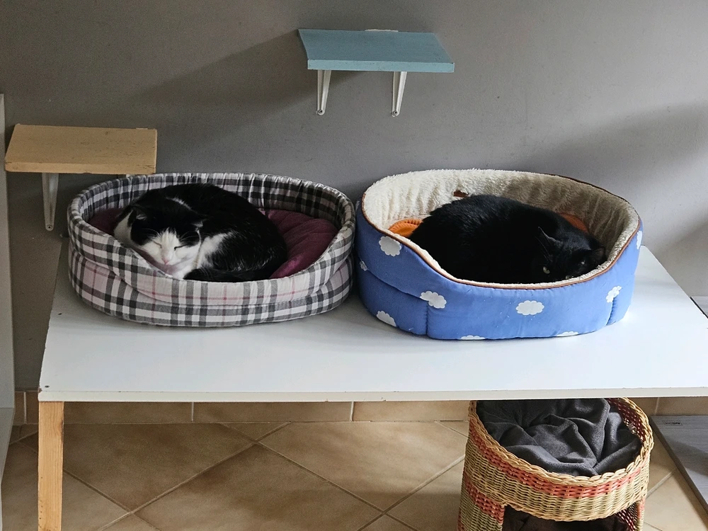 Image ajoutée par Geoffrey