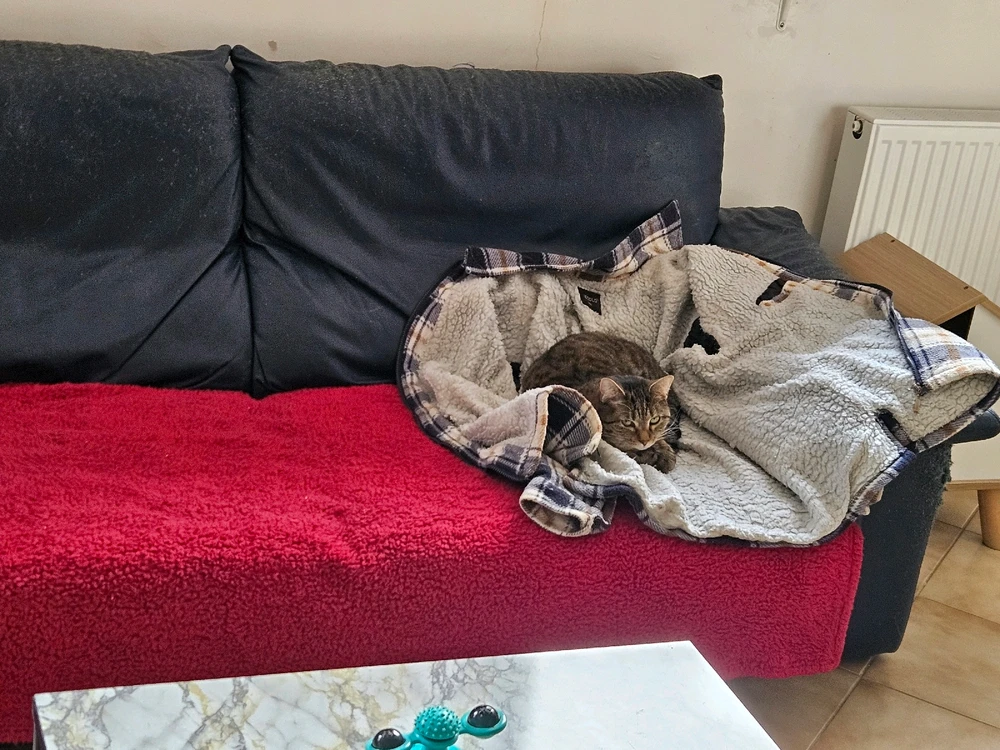 Image ajoutée par Geoffrey