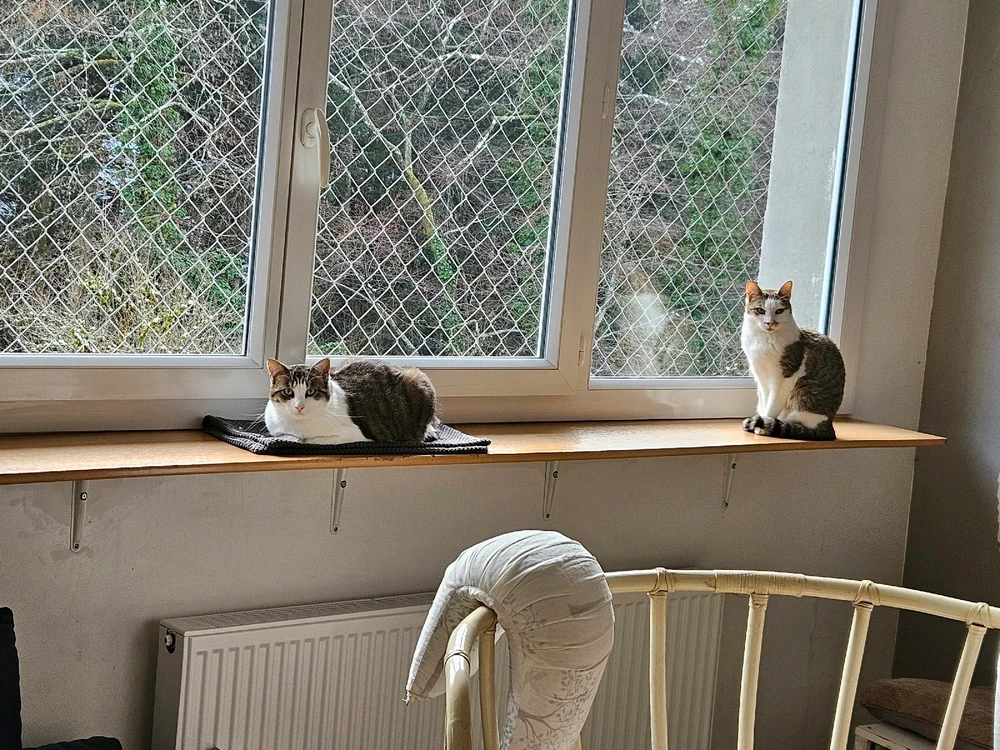 Image ajoutée par Geoffrey