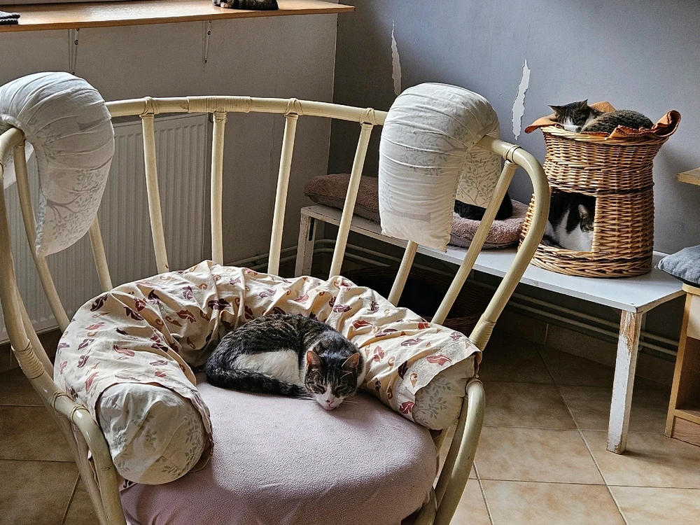 Image ajoutée par Geoffrey