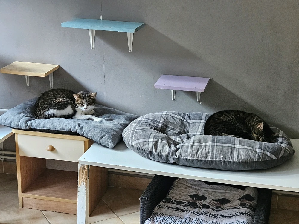 Image ajoutée par Geoffrey