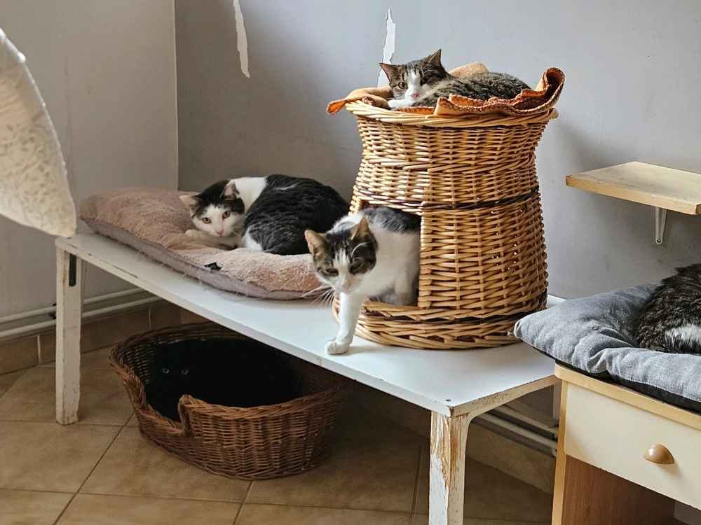 Image ajoutée par Geoffrey