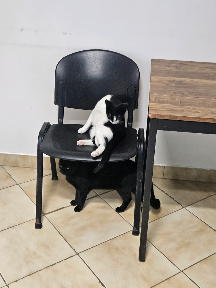 Image ajoutée par Geoffrey